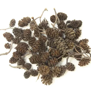 Alder Cones (1/2 - 1 inch)