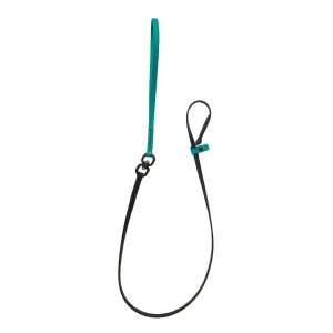 Alpha Grooming Swivel Slip Lead, Teal
