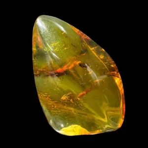 Amber w/ Insect Inclusions