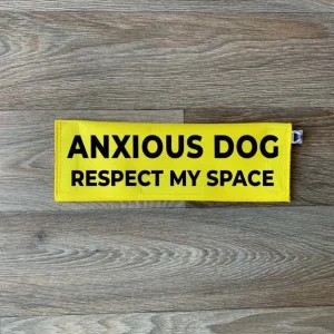 Anxious Dog