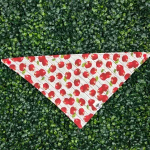Apples To Apples Bandana