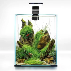 AquaEl Shrimp Set 10L (2.6 Gallons) - Black