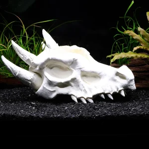 Aquarium Decor & Shrimp Hide Collection – Skull Caves and Sinking Shrimp Ornament