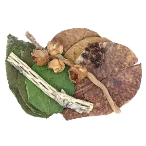 Aquatic Arts Botanical Combo Pack