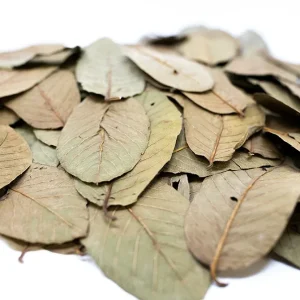 Aquatic Arts Guava Leaves