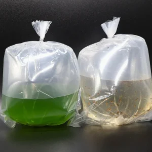 Aquatic Arts Live Feeder Bundle – Moina or Daphnia with Green Water