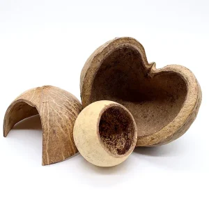 Aquatic Arts Natural Hide Combo Pack — Coconut Hut, Beal & Buddha Pods