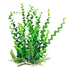 AquaTop Bacopa Aquarium Plant with Weighted Base, Green, 9 in