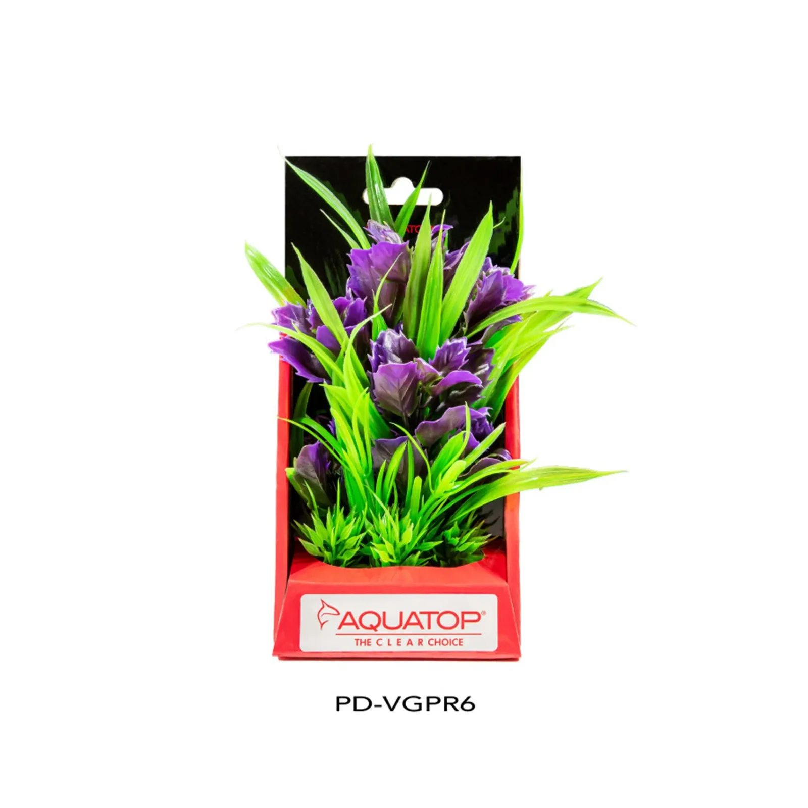AquaTop Vibrant Garden Plant, Purple, 6 in