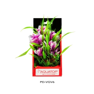 AquaTop Vibrant Garden Plant, Violet, 6 in