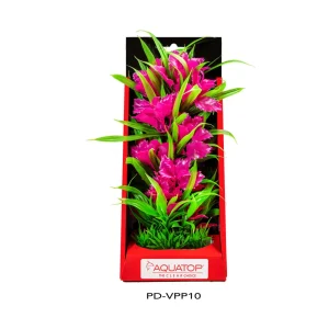AquaTop Vibrant Passion Plant, Pink, 10 in
