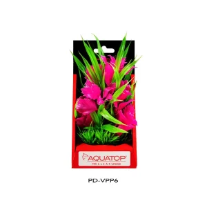 AquaTop Vibrant Passion Plant, Pink, 6 in