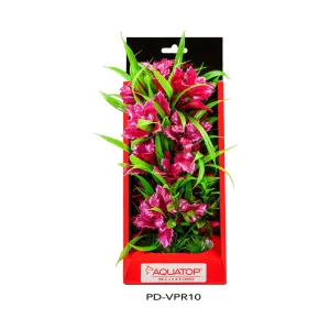 AquaTop Vibrant Passion Plant Rose, 10 in