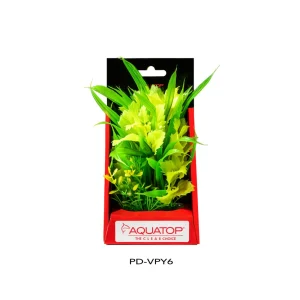 AquaTop Vibrant Passion Plant, Yellow, 6 in