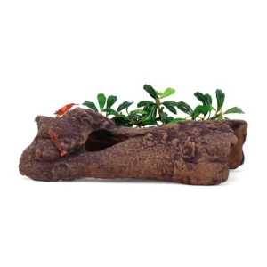 aquavitro Ceramic Hides Aquatic Ornament L1