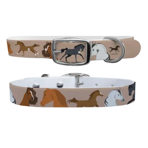 Arabian Dog Collar