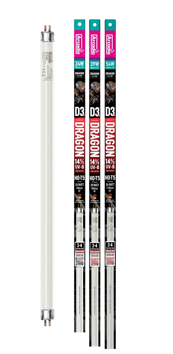 Arcadia D3+ Dragon T5 14% UVB bulb