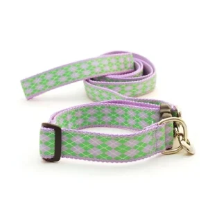 Argyle -- Lilac & Kelly