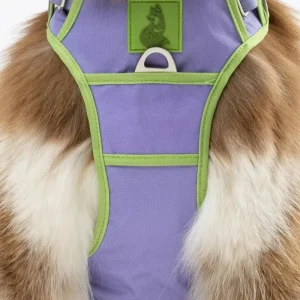 Aria the Fox Lavender Garden No-Pull Dog Harness - Elegant Comfort