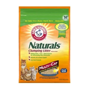 Arm & Hammer Essential Double Duty Clump Litter (9lb)