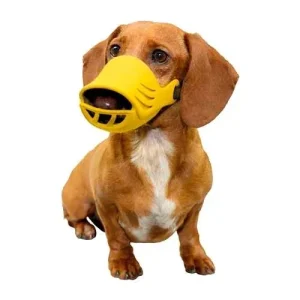Artero Donald Silicon Muzzle for Dog, Large