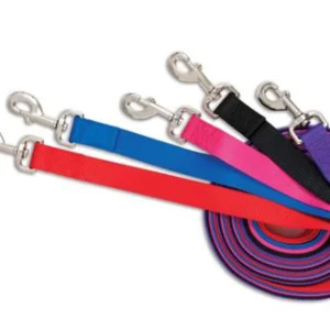 Aspen Core Nylon Dog Leash Royal Blue 5/8 in x 5 ft, Medium