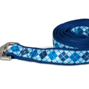 Aspen Ribbon Overlay Dog Leash Blue 1 in x 6 ft