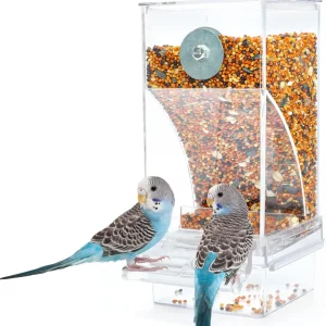 Automatic Bird Feeder Toy – Transparent Acrylic Food Container for Parrots and Cage Birds