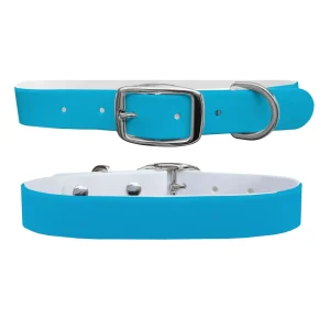 Baby Blue Dog Collar