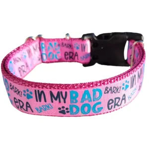 Bad Dog Era Nylon Dog Collar