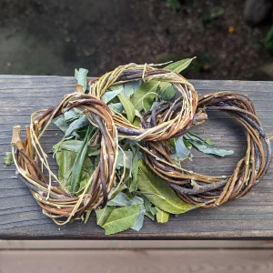 Bare Wreath TRIO and Leaves