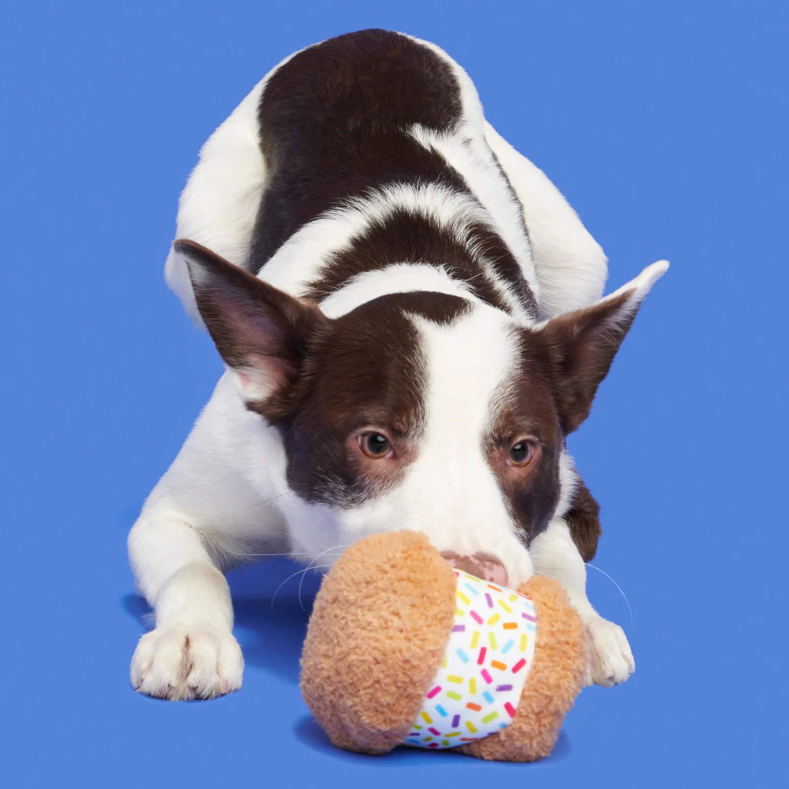 BARK Funfetchi Sniffwich Plush Dog Toy - Image 2