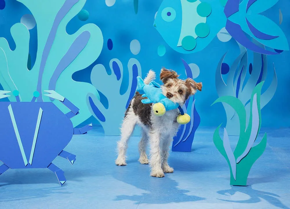 BARK Hammerin' Hank the Shark - Image 2