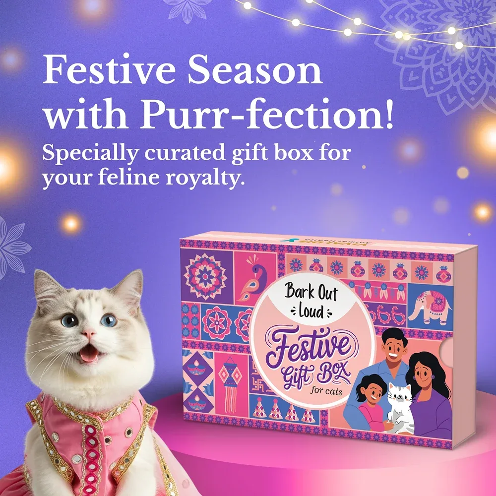 Bark Out Loud Festive Gift Box for Cats - Image 2
