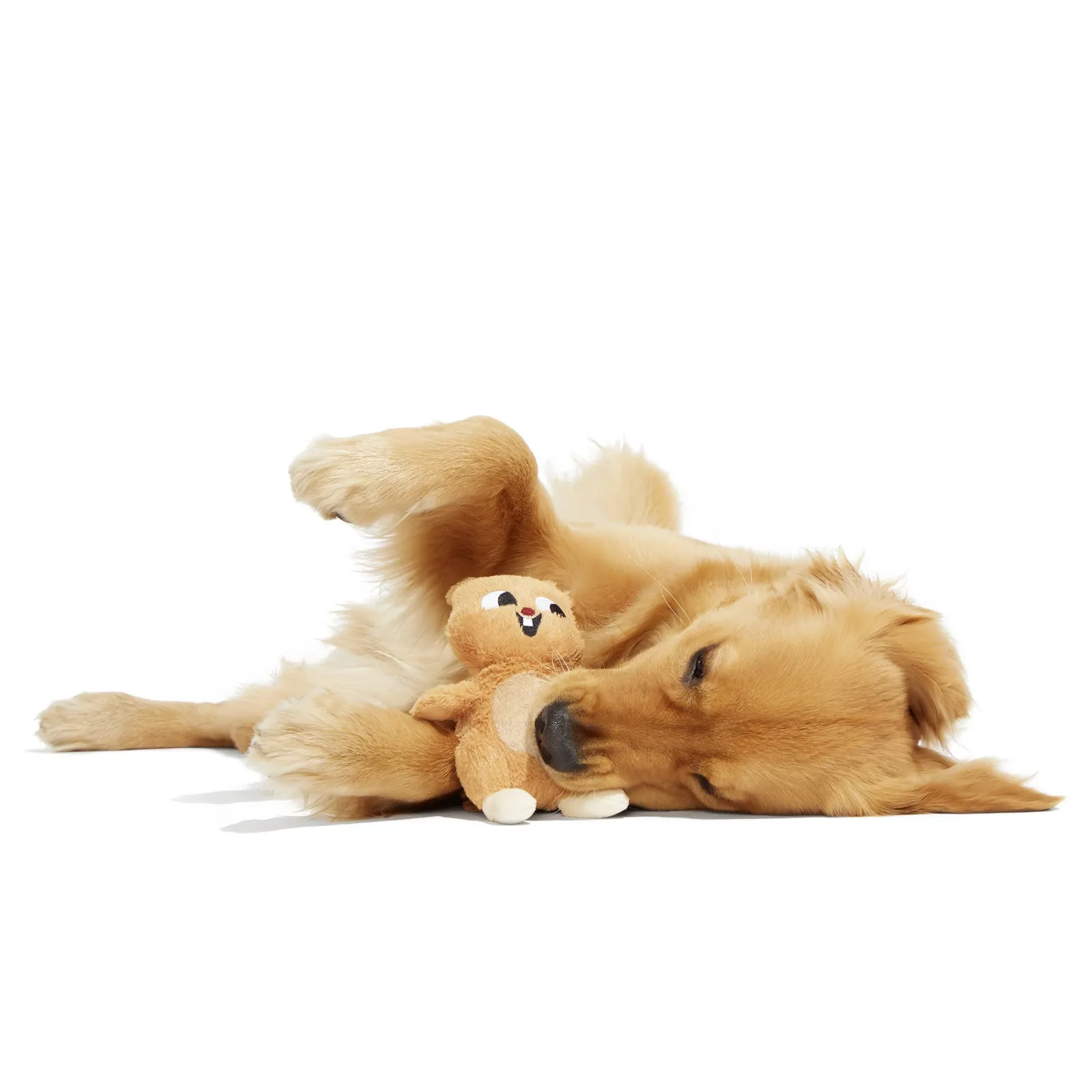BARK Pearl Squirrel Plush Dog Toy - Image 2