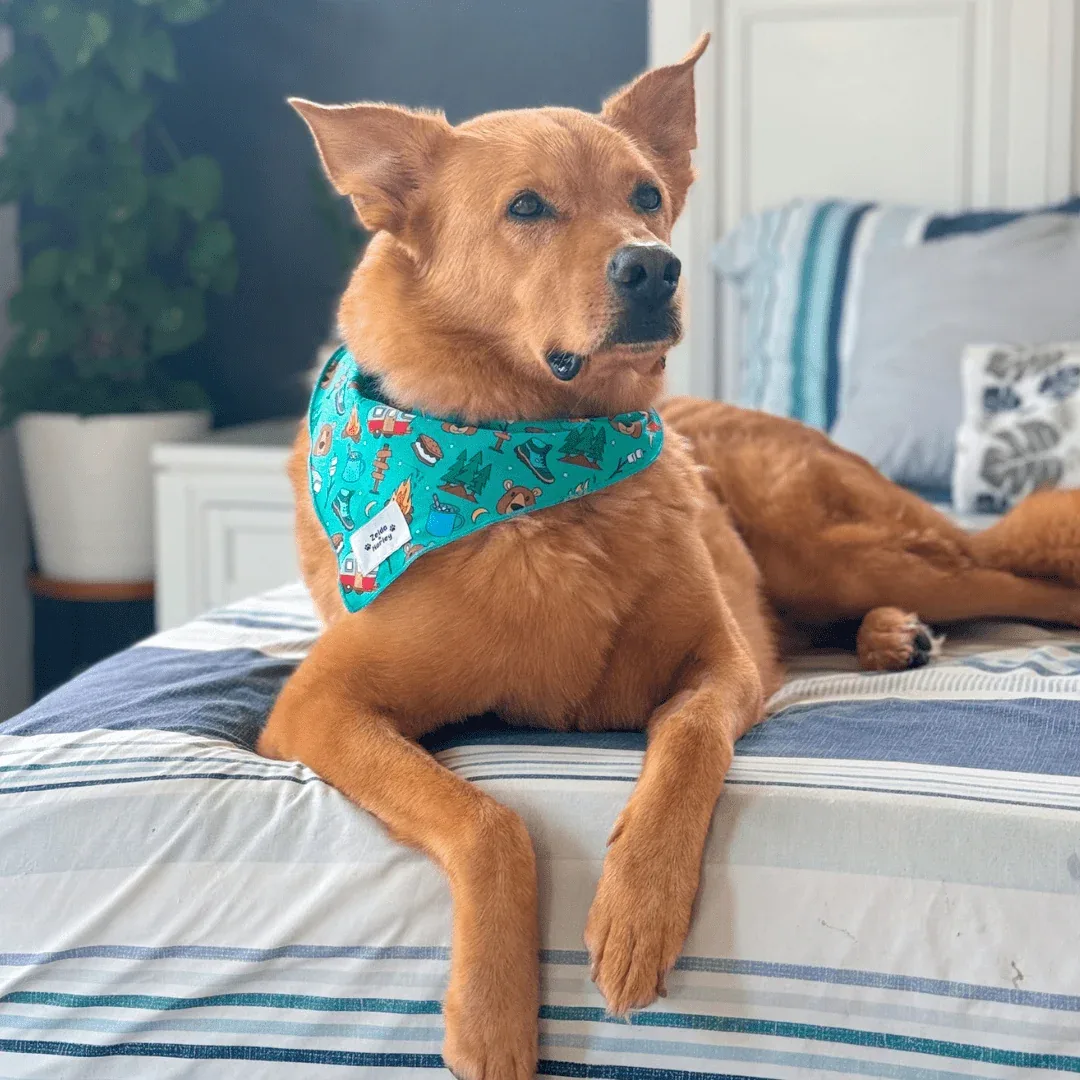 Bark Ranger Bandana - Image 2
