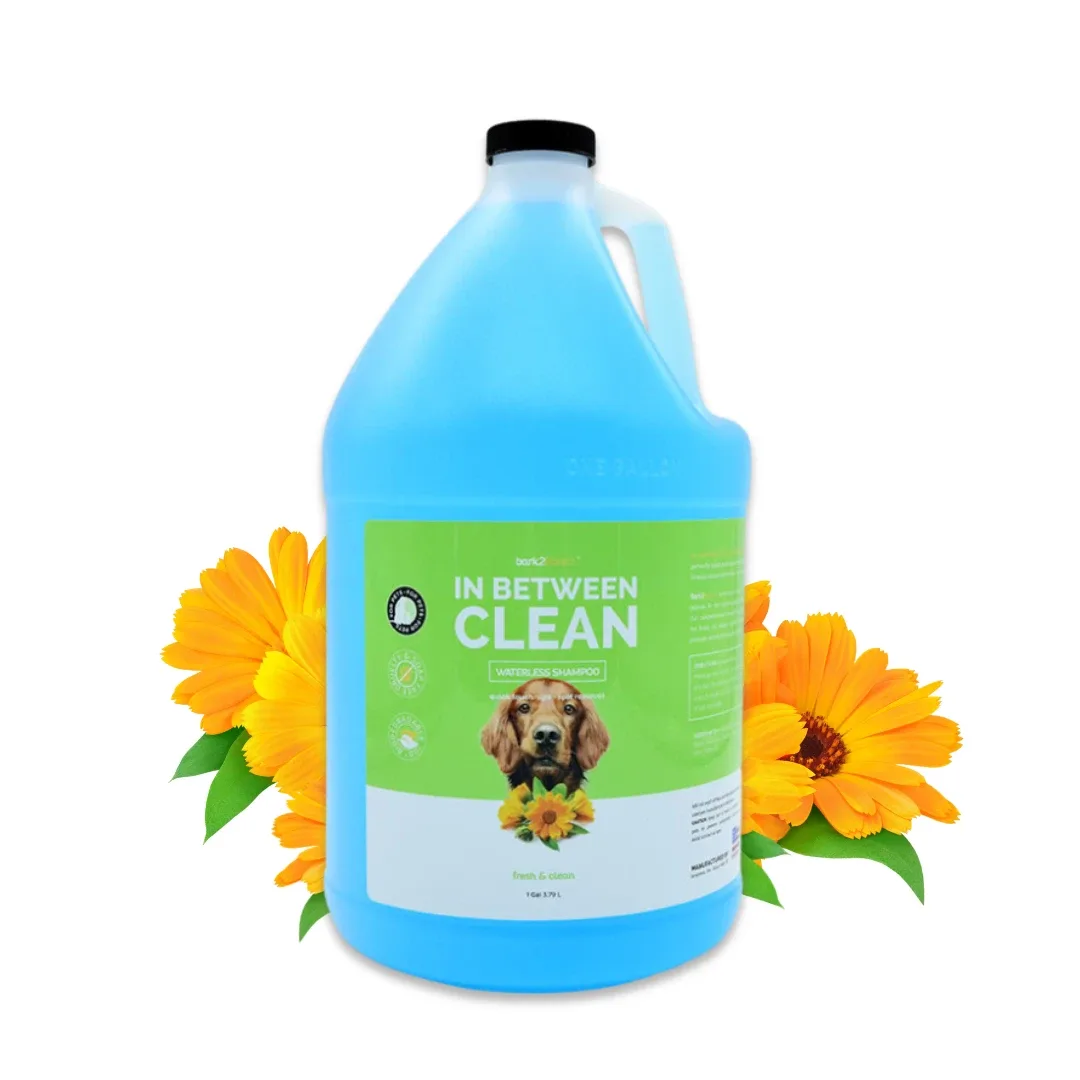 Bark2Basics In Between Clean Waterless Shampoo, 1 Gallon