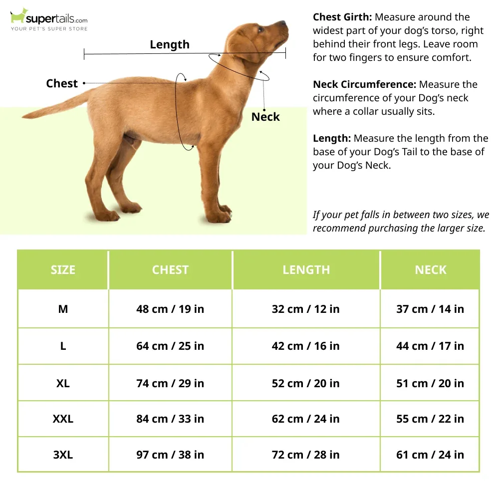 Barkbutler x Fofos Four Leg Yellow Raincoat for Dogs (Button Up Style) - Image 2