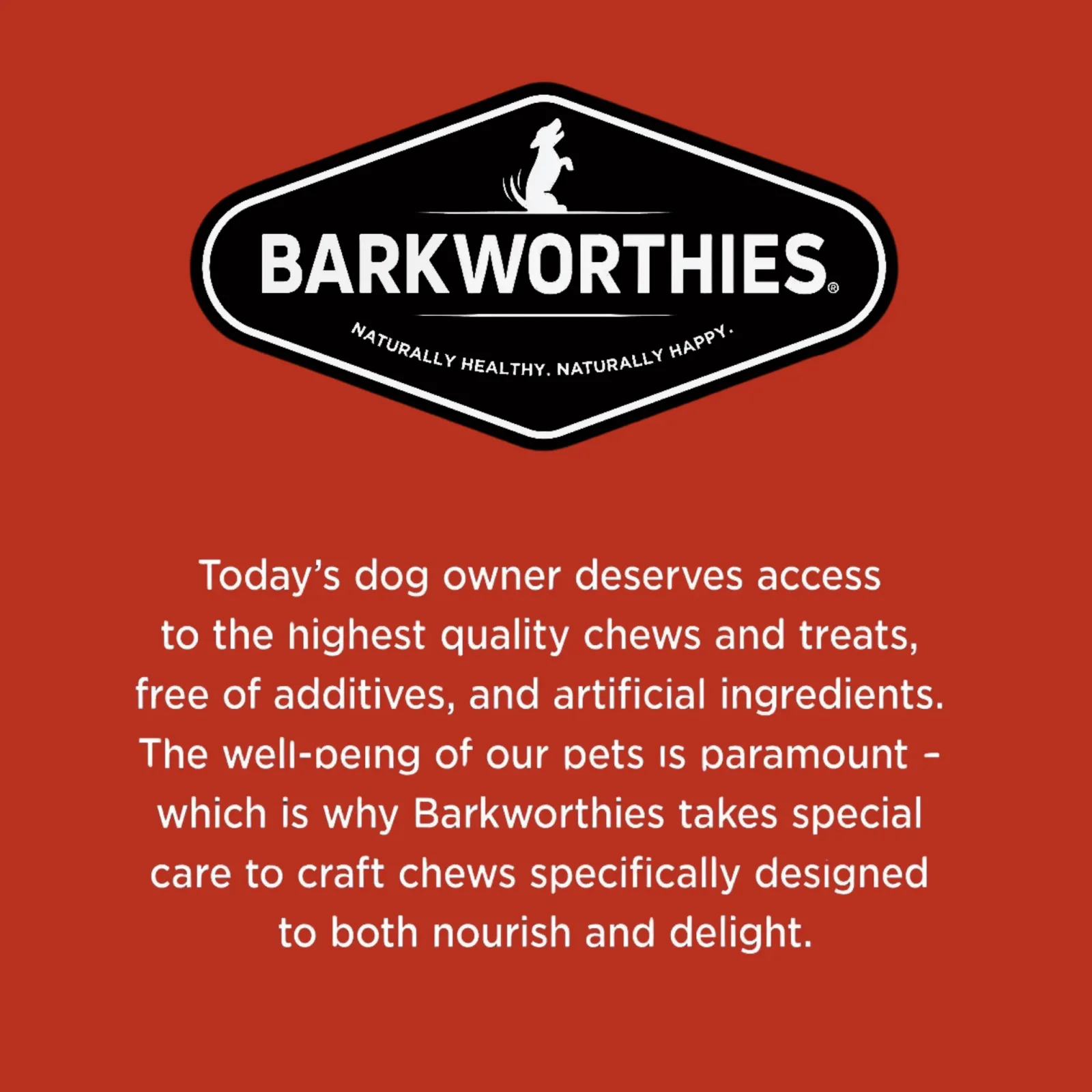 Barkworthies Naturally Smoked Beef Stick Dog Chews - Image 2