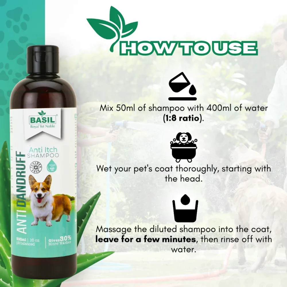 Basil Anti Dandruff & Anti Itch Shampoo for Dogs and Cats - Image 2
