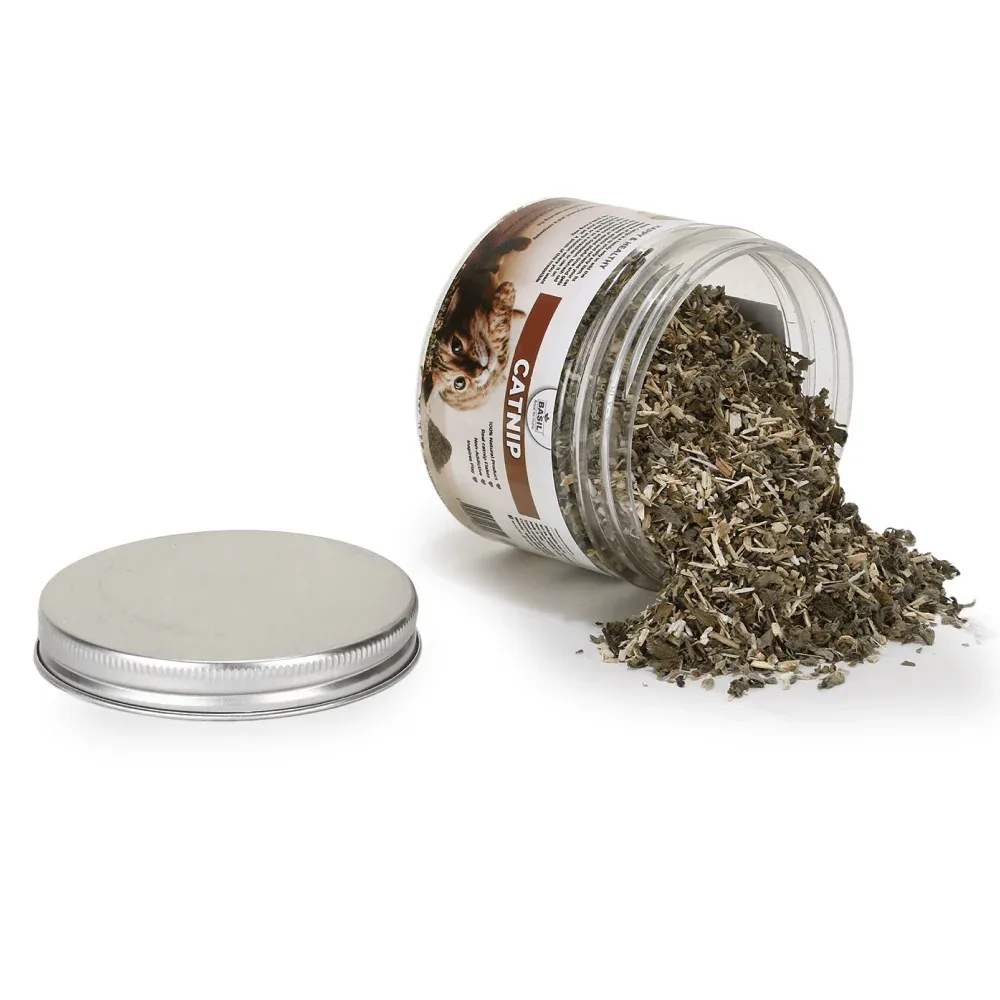 Basil Catnip in a Jar for Cats - Image 2