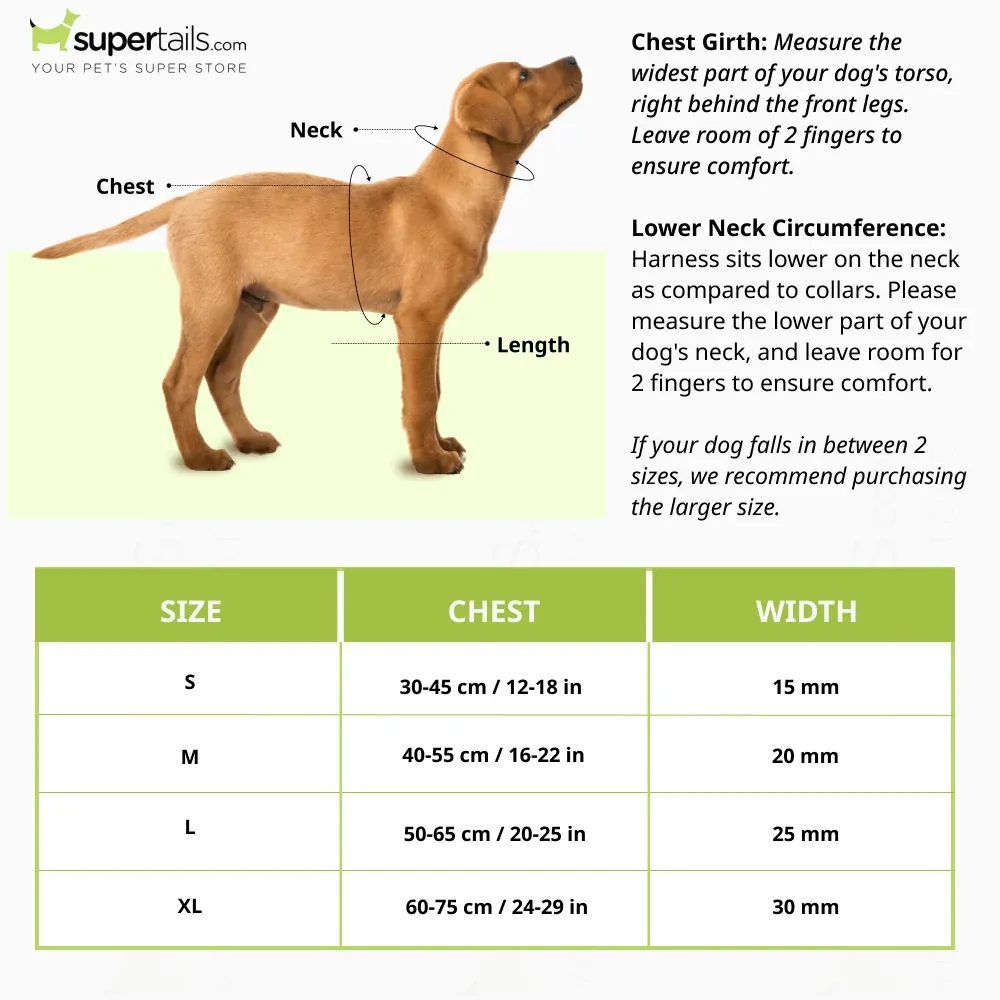 Basil Printed Adjustable Harness for Dogs (Green) - Image 2