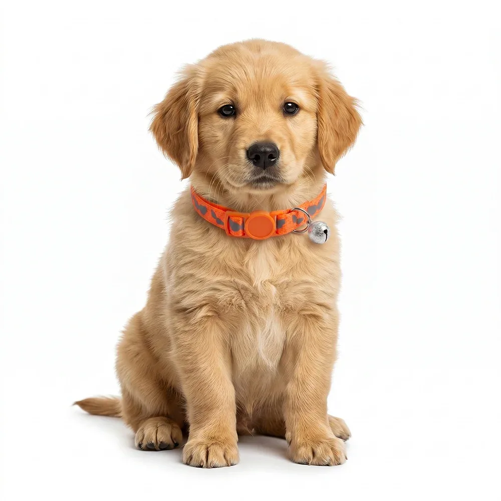 Basil Printed Collar for Cats & Puppies (Orange) - Image 2
