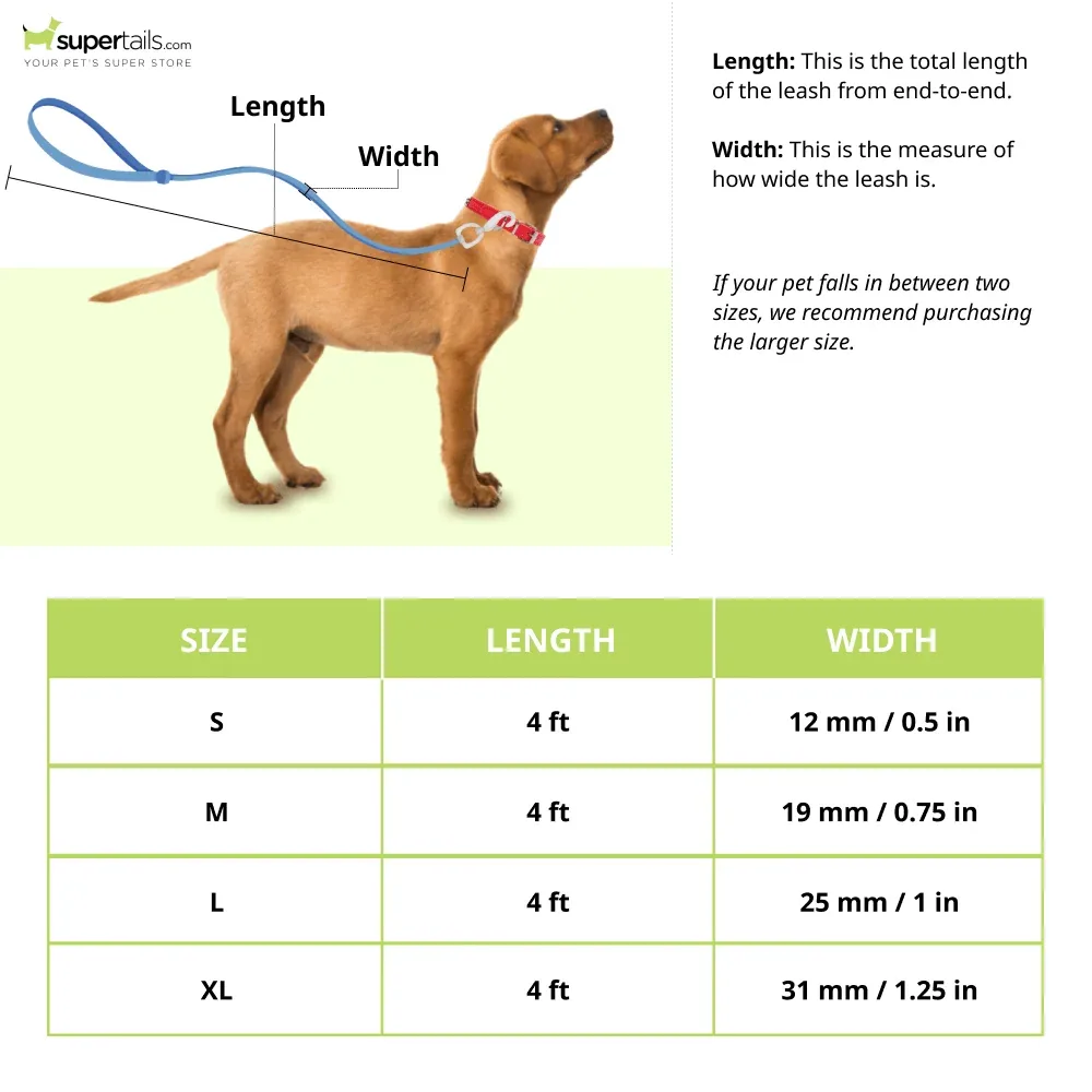 Basil Printed Leash for Dogs and Cats (Blue) - Image 2