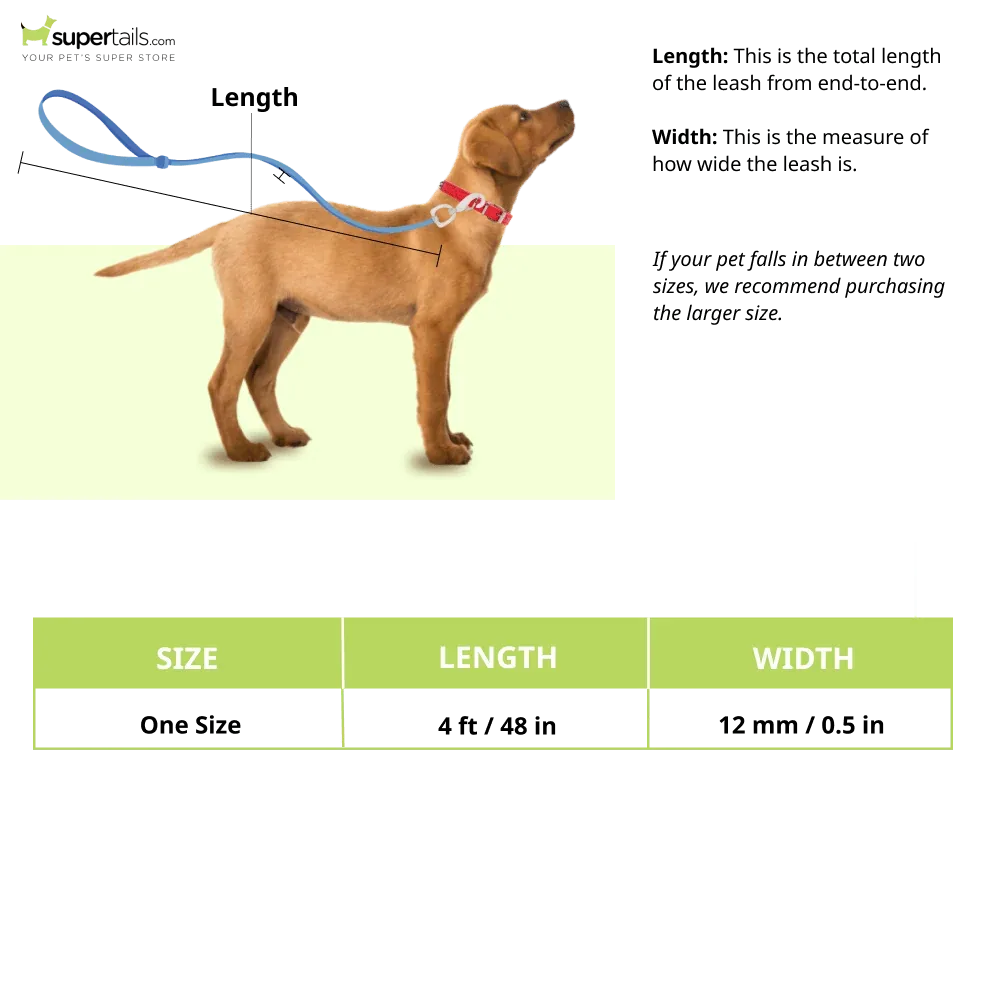 Basil Shock Absorbing Stretch Leash for Dogs (Pink) - Image 2