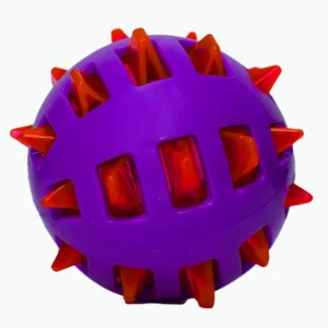 Basil Squeaky Rubber Ball Toy for Dogs