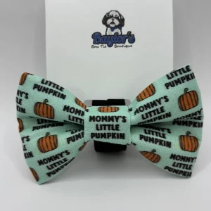 Baylor's Bow Ties