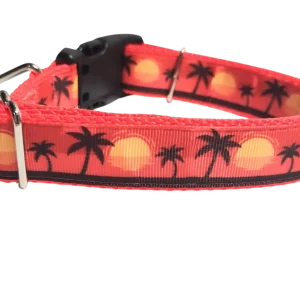 Beach Sunsets Nylon Dog Collar