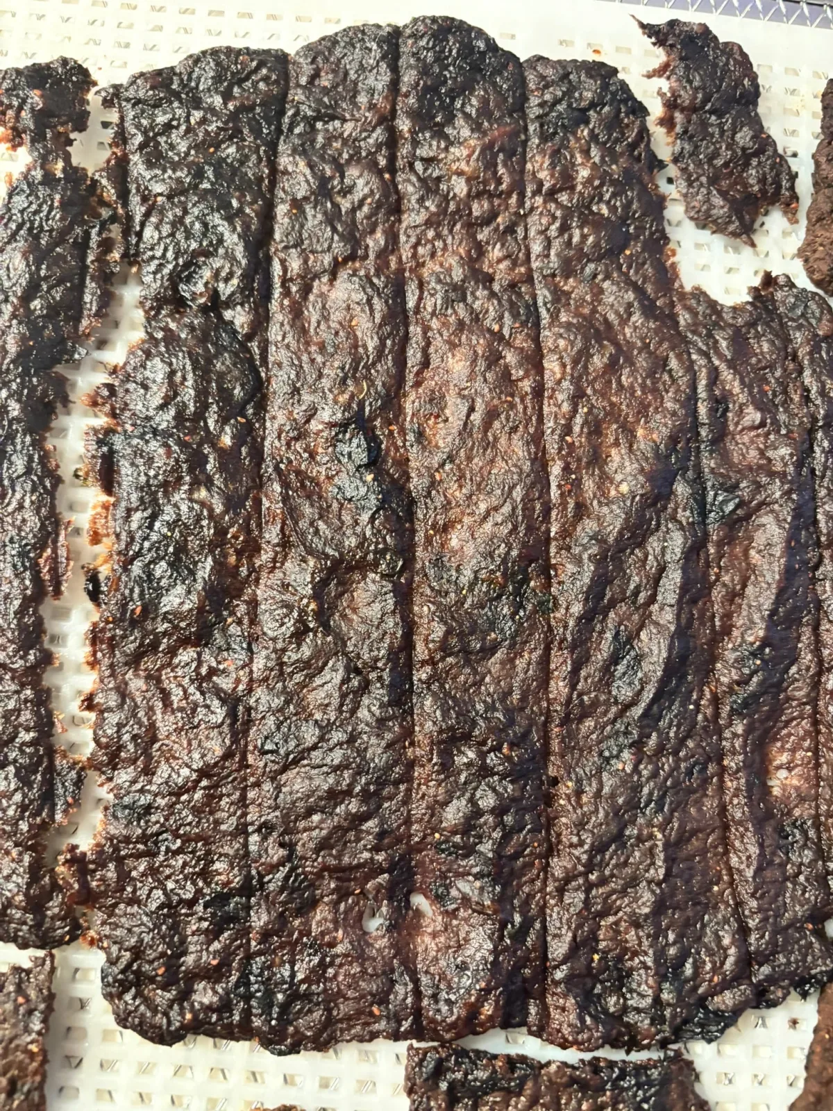 Beef Blueberry Jerky - Image 2