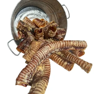 Beef Trachea